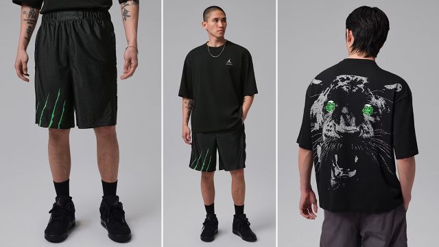 Air Jordan 4 Black Cat 2025 Shirt Shorts Outfit